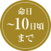 命日～10日頃まで