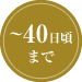 ～40日頃まで