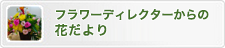 フラワーディレクターからの花だより