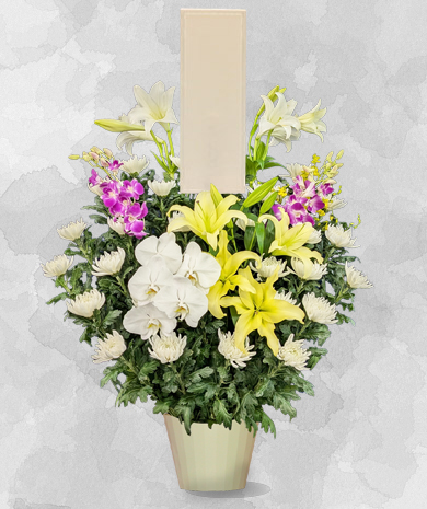 生花A