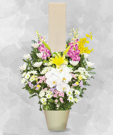 生花B