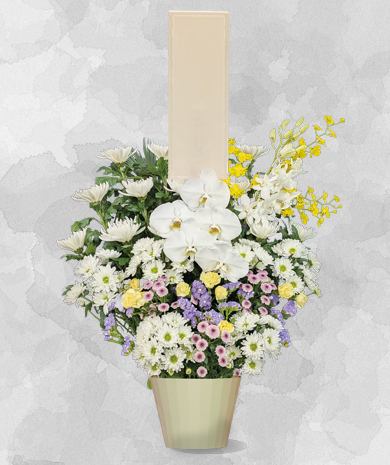 生花C