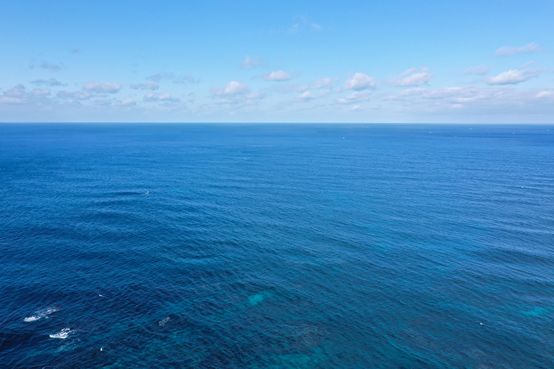 大好きだった海で見守って欲しいから